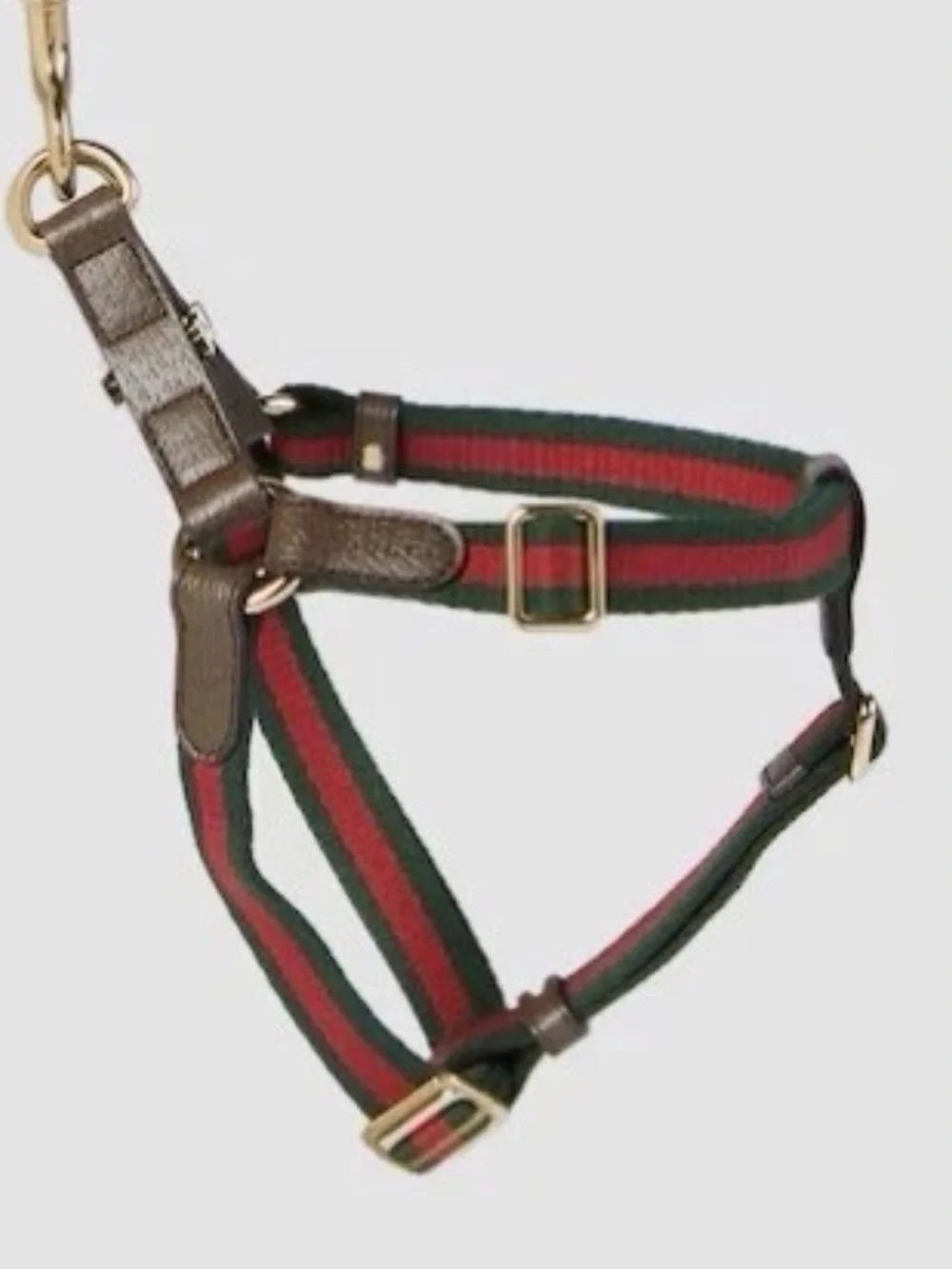 GUCCI Web Stripe S/M Faux Leather Dog Harness NEW